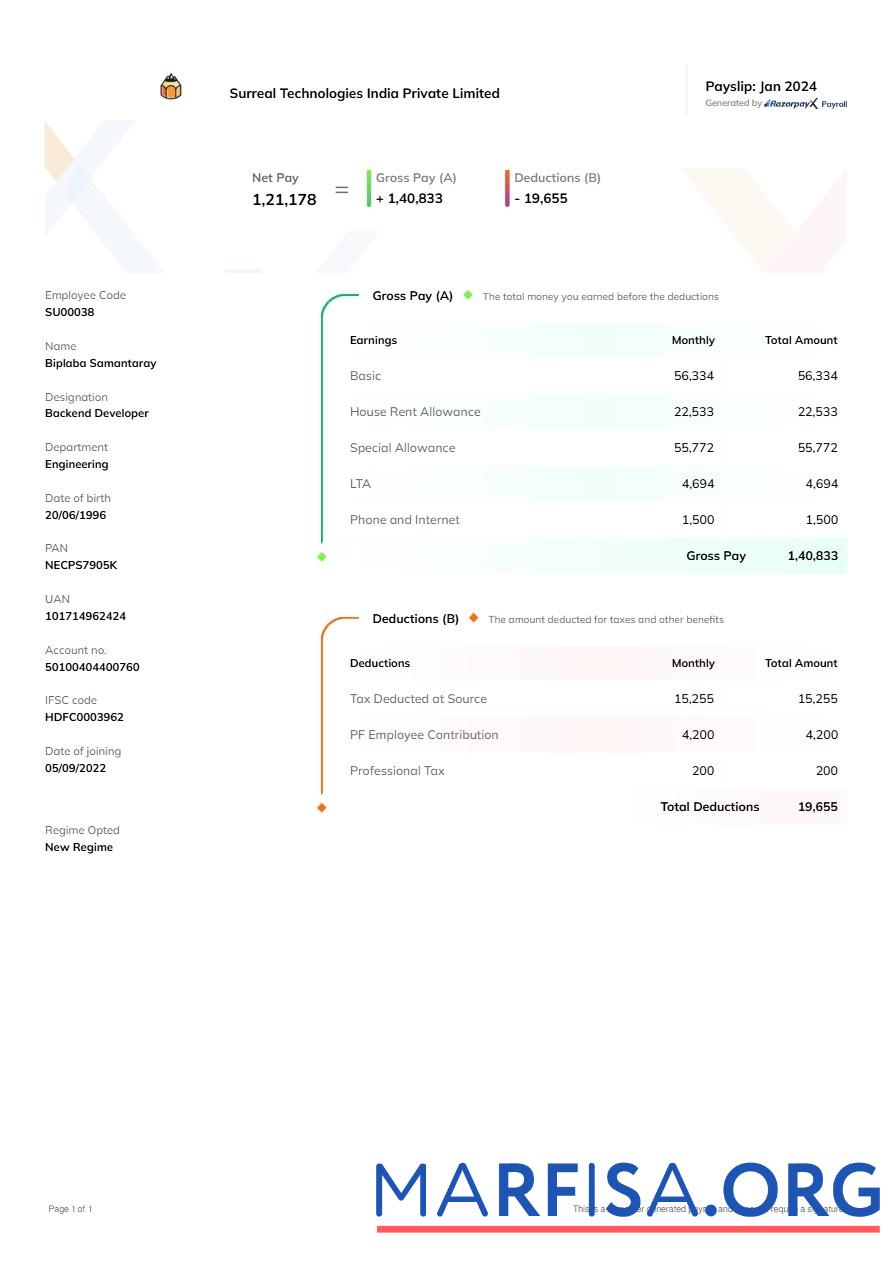 Blank Surreal Technologies India payslip download for verification